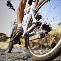 Rent a Bike
